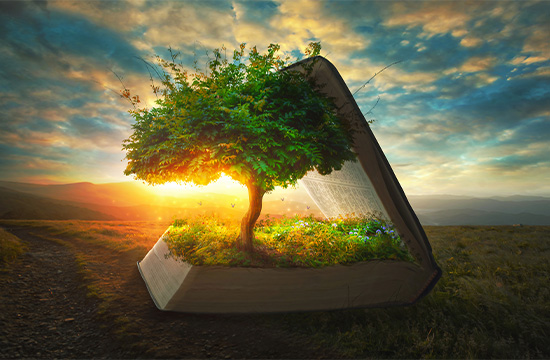 ECAP Estudo Do Antigo Testamento